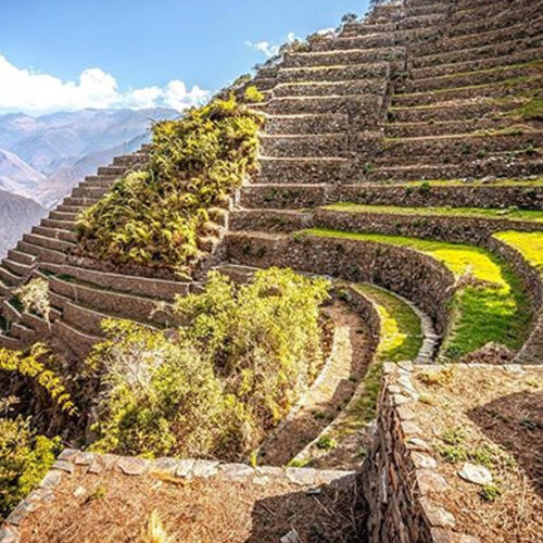Choquequirao Trek