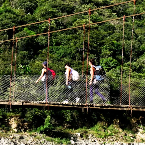 Inca Jungle