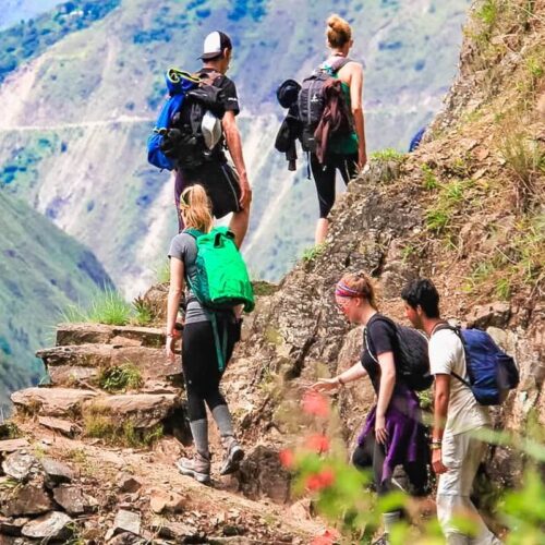 Inca Jungle